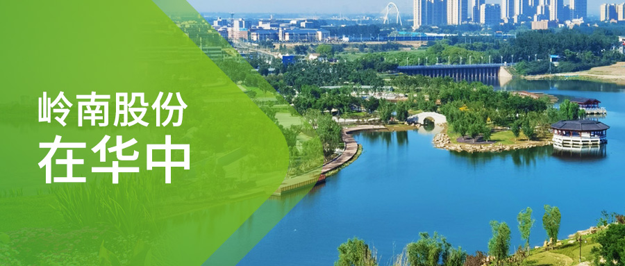 岭南股份在华中