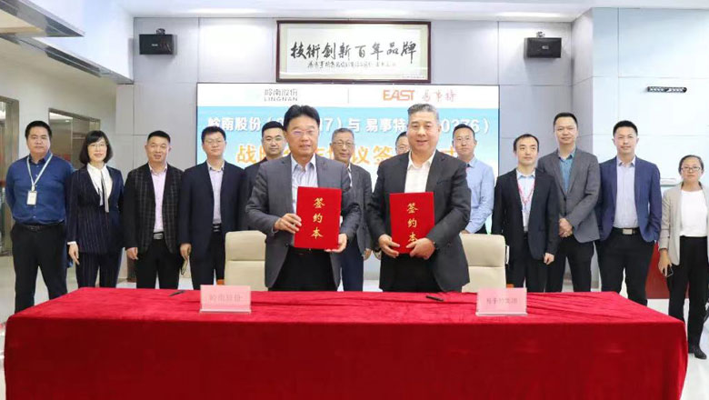 岭南股份牵手易事特将带来什么?