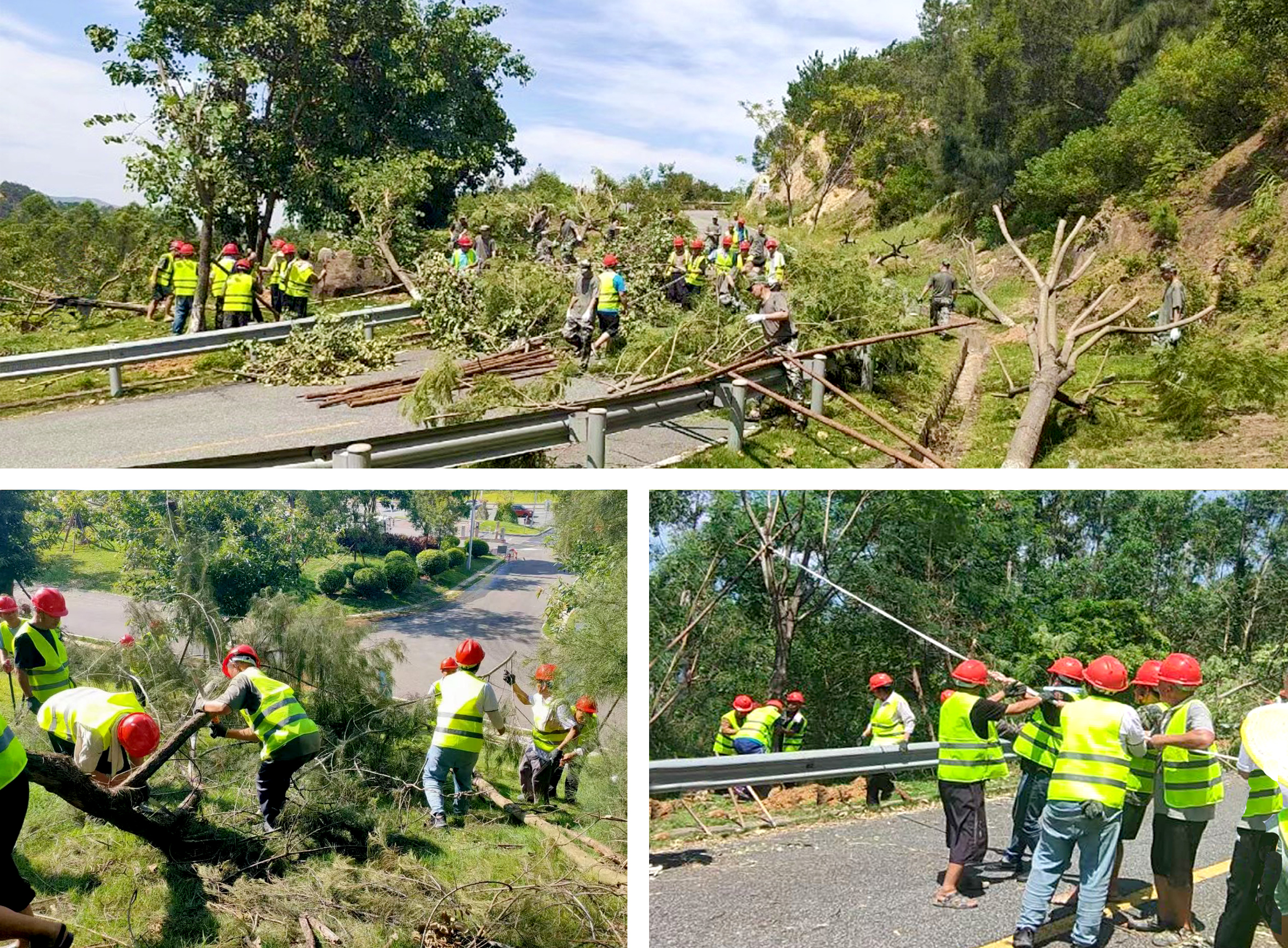 岭南股份收到一封来自泉州的感谢信!