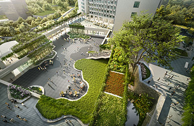 香港·中文大学（深圳）二期景观园林设计