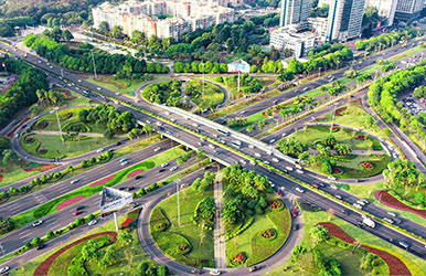 广东东莞·东莞大道绿脉提升工程