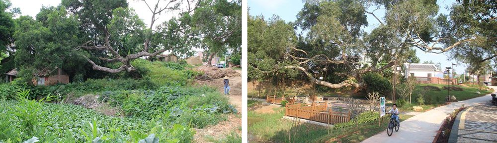 9、新兴对比图.jpg 9、新兴对比图.jpg