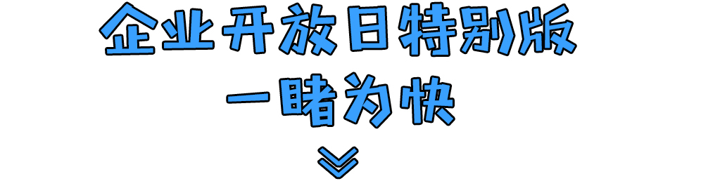 岭南股份 岭南股份