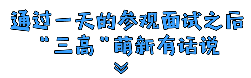 岭南股份 岭南股份