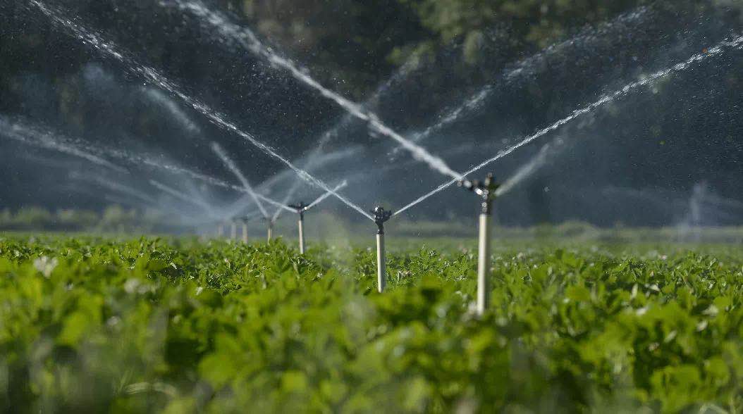 微信图片_20200918155507.jpg 微信图片_20200918155507.jpg