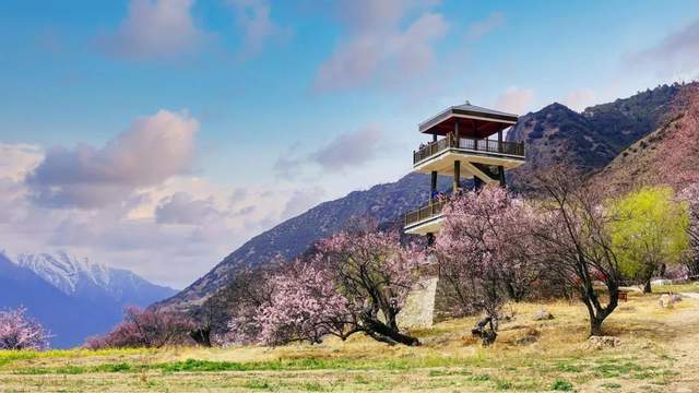 3f19fff301c540f5b5a11aa7abed26a0.jpeg 3f19fff301c540f5b5a11aa7abed26a0.jpeg